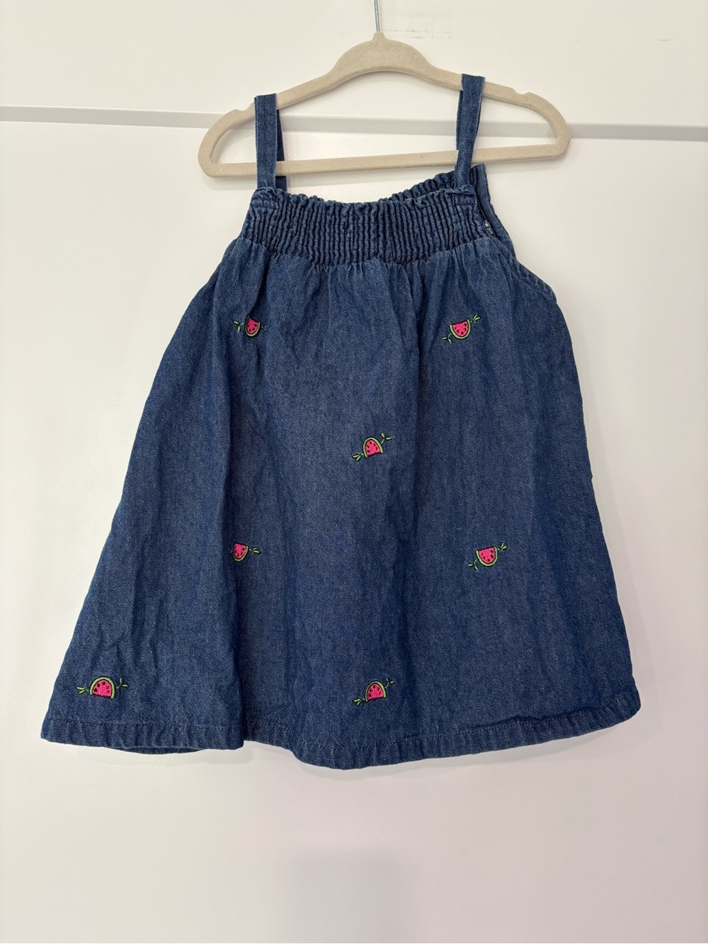 Vintage Samara Chambray Watermelon Embroidered Dress